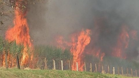 Polícia Ambiental aplica R$ 3,5 milhões em multas por queimadas neste ano na região de Rio Preto