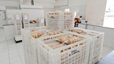 Banco de Alimentos registra 730 toneladas em doações no primeiro trimestre de 2021