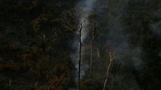 Ministério confirma recursos para combate a desmatamento na Amazônia