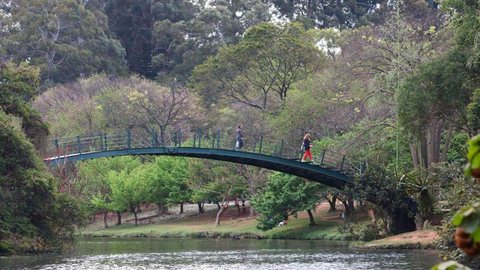 Parques municipais serão reabertos durante a semana em São Paulo