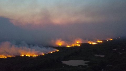 Senado instala comissão para fiscalizar ações contra fogo no Pantanal