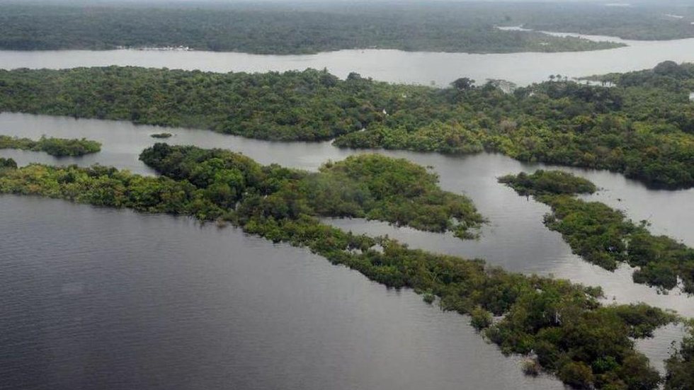 Força-Tarefa em Defesa da Amazônia permanecerá mais um ano na região