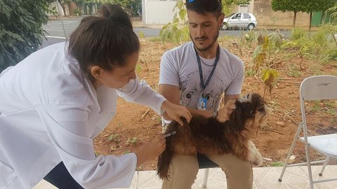 Campanha de vacinação antirrábica imuniza mais de 4,5 mil animais em Rio Preto