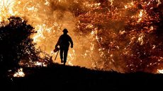 Peritos da ONU alertam para aumento de incêndios florestais