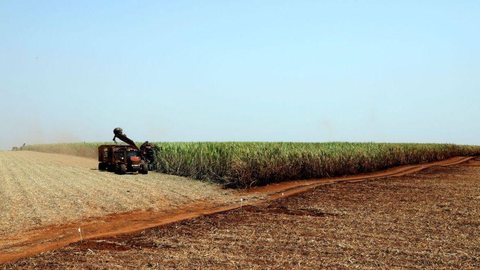 Agricultura lança plataforma para registro de máquinas e tratores