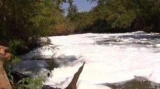 Câmara aprova comissão para investigar vazamento de esgoto no rio Preto