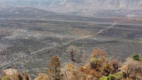 Brasil tem incêndios ‘descontrolados’ e acima da média em 4 estados e no DF; entenda elo com clima e ação humana