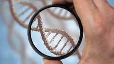 Pela 1ª vez, cientistas removem doença genética com ‘cirurgia química’ de embrião