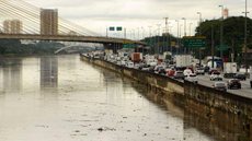 Despoluição do Rio Tietê em SP já consumiu R$ 2,1 bilhões em 10 anos, diz TCE