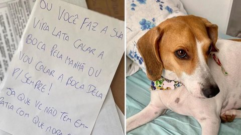 ‘Ou sua vira-lata cala a boca ou vou calar a boca dela para sempre’: moradora da Zona Sul de SP recebe carta de ameaça contra cadela