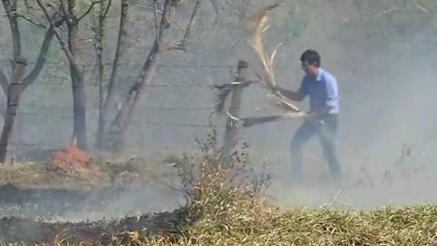 Inverno na região de Rio Preto tem aumento de 76% no número de queimadas, diz bombeiros