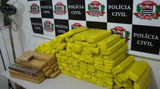 Polícia Civil apreende mais de 160 tijolos de maconha em bairros de Rio Preto