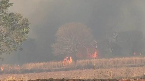 Incêndio destrói fazenda de pesquisas de mais de 700 hectares em Andradina