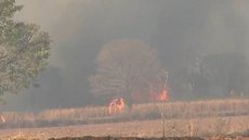 Incêndio destrói fazenda de pesquisas de mais de 700 hectares em Andradina