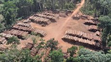 Apreensão de madeira ilegal da Amazônia cresce 298% no estado de SP em 2021