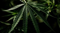 Tema é considerado um dos mais controversos no cenário jurídico atual - Imagem: Reprodução / Freepik