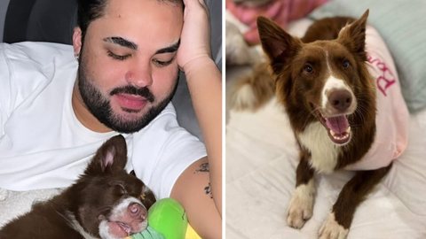 Lucas Guedez quebra o silêncio após acusação grave envolvendo abandono de animais - Imagem: Reprodução/Instagram