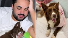 Lucas Guedez quebra o silêncio após acusação grave envolvendo abandono de animais - Imagem: Reprodução/Instagram