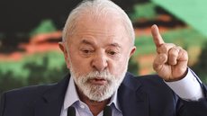 Com o veto, o Congresso tem 30 dias para decidir se mantém ou derruba a proposta de aumento de cadeiras na Câmara - Imagem: Reprodução / Marcelo Camargo / Agência Brasil