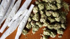 Mãe denuncia filho por tráfico após encontrar maconha em mochila - Imagem: Reprodução / Freepik