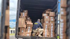 Motorista foi preso em flagrante por tráfico de drogas - Imagem: Divulgação / Polícia Rodoviária Federal