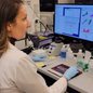 Marcella Cardoso conduz experimentos com células de tecido pulmonar na Harvard Medical School - Imagem: Reprodução / Portal do Governo / Governo do Estado de São Paulo