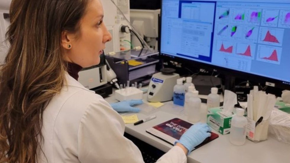 Marcella Cardoso conduz experimentos com células de tecido pulmonar na Harvard Medical School - Imagem: Reprodução / Portal do Governo / Governo do Estado de São Paulo