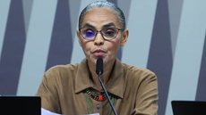 Vetos incluem a Licença Ambiental por Adesão, que foi excluída para empreendimentos de médio potencial poluidor - Imagem: Reprodução / Lula Marques / Agência Brasil