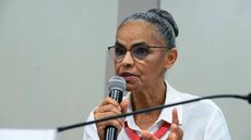 A ministra reforça necessidade de pressionar empresas e governos - Imagem: Reprodução / Marcos Oliveira / Agência Senado
