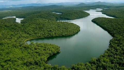 Apesar de algumas iniciativas de conservação, a média anual de desmatamento ainda é alta, com 190 mil hectares perdidos anualmente - Imagem: Reprodução/Redes Sociais