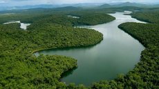 Apesar de algumas iniciativas de conservação, a média anual de desmatamento ainda é alta, com 190 mil hectares perdidos anualmente - Imagem: Reprodução/Redes Sociais