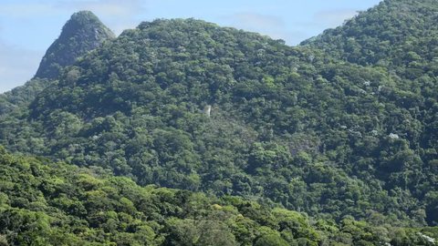 O objetivo é alcançar o desmatamento zero em todos os biomas até 2030 - Imagem: Reprodução / Tomaz Silva / Agência Brasil
