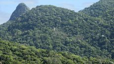 O objetivo é alcançar o desmatamento zero em todos os biomas até 2030 - Imagem: Reprodução / Tomaz Silva / Agência Brasil