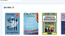 Para acessar a plataforma MEC Livros, é necessário ter cadastro no Gov.br e explorar uma vasta gama de obras literárias - Imagem: Reprodução