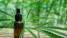Entre os projetos, destaque para iniciativas que promovem o uso terapêutico da cannabis e a formação profissional na área - Imagem: Reprodução/Freepik