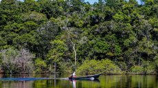 Novo estudo do IBGE destaca liderança em proteção ambiental e sustentabilidade - Imagem: Reprodução / Agência Brasil