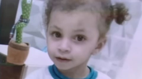 Beatriz, de 2 anos, morreu neste domingo (15), em um hospital de SP. - Imagem: reprodução I Youtube Balanço Geral