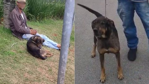 Menino de 6 anos é atacado por cachorro de morador de rua - Imagem: Reprodução / Arquivo pessoal / Tatiane Euzébio