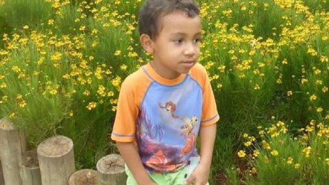 Menino de 5 anos morre após cair do 3º andar - Imagem: Reprodução/TV Anhanguera