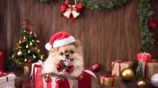 Mercado pet cresce e impulsiona vendas de fim de ano - Imagem: Reprodução / Freepik