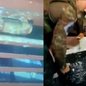 Em vídeo, mergulhadores encontram 95 kg de cocaína em navio em SP; veja - Imagem: reprodução UOL
