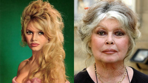 De estrela das telas à ativista: Brigitte Bardot na juventude e em fase mais recente - Imagem: Reprodução