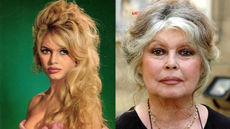 De estrela das telas à ativista: Brigitte Bardot na juventude e em fase mais recente - Imagem: Reprodução