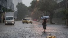 As fortes chuvas causaram alagamentos e deslizamentos, resultando em várias mortes em diferentes municípios de São Paulo - Imagem: Reprodução/Agência Brasil