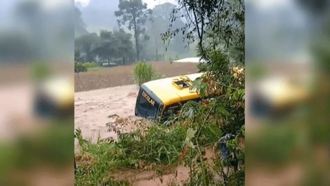 VÍDEO: motorista salva 12 crianças presas em ônibus durante enchente em SC - Imagem: reprodução redes sociais