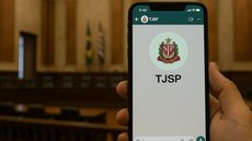 Projeto-piloto já enviou 71 intimações e visa expandir o serviço para todas as comarcas do estado de São Paulo - Imagem gerada por IA