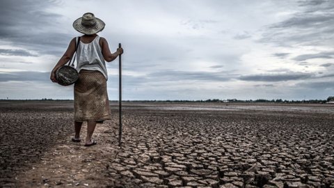 Impacto das Mudanças Climáticas Exige Grandes Mudanças para Garantir Acesso à Saúde Sustentável - Imagem: Reprodução | Freepik
