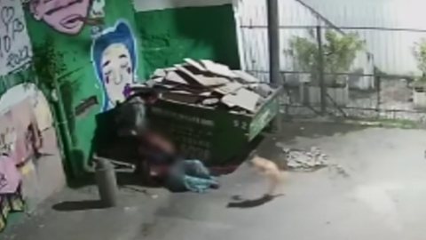 Em vídeo desesperador mulher é arrastada com cachorro em tentativa de estupro: assista - Imagem: reprodução Youtube