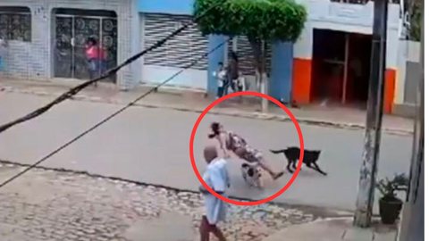Inacreditável! Vídeo flagra mulher sendo atropelada por cachorros; assista - Imagem: reprodução redes sociais
