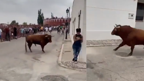 Mulher é atacada por touro enquanto estava distraída. - Imagem: reprodução I Twitter